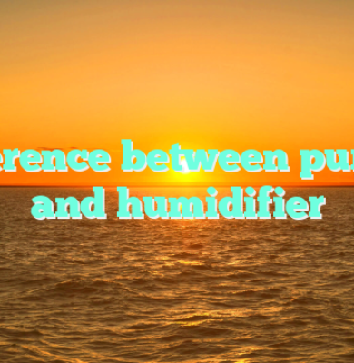 Difference between purifier and humidifier