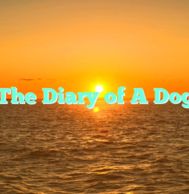 The Diary of A Dog