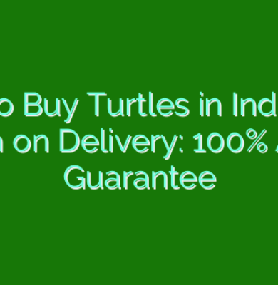 How to Buy Turtles in India with Cash on Delivery: 100% Alive Guarantee
