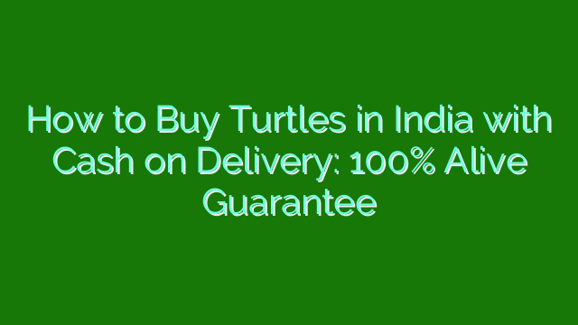 How to Buy Turtles in India with Cash on Delivery: 100% Alive Guarantee